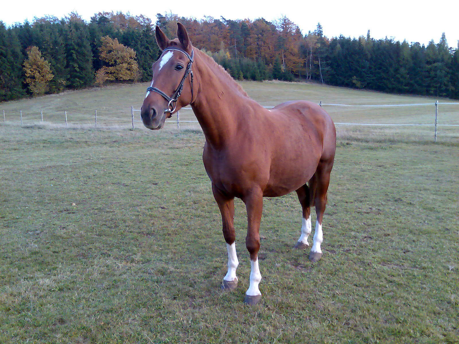 Obraz029_edited.jpg